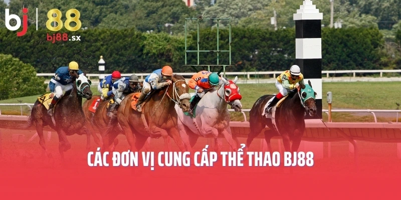 Các đơn vị cung cấp thể thao BJ88